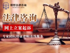 武汉明哲法律咨询：司法部、残疾人联合发布《残疾人法律意见》